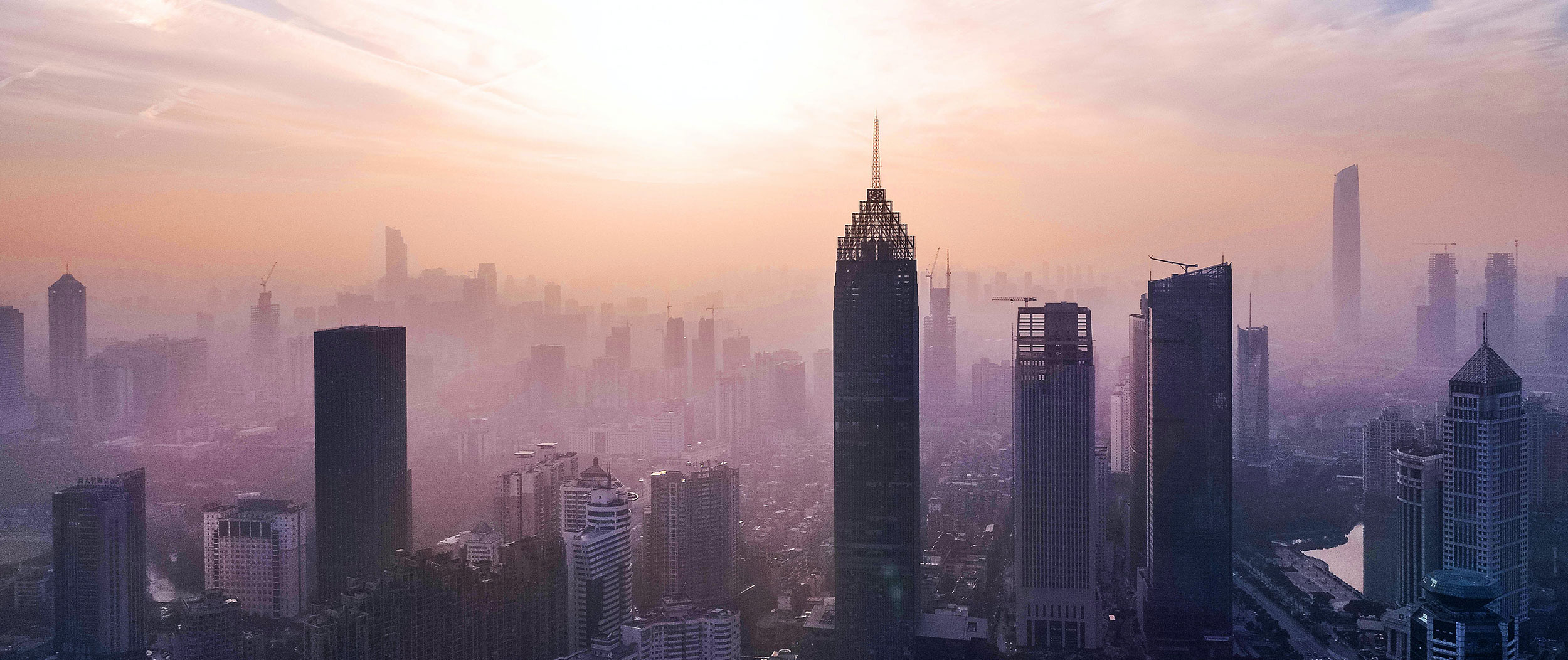 We'll help manage your business